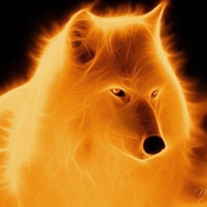 Chien de Feu's Avatar